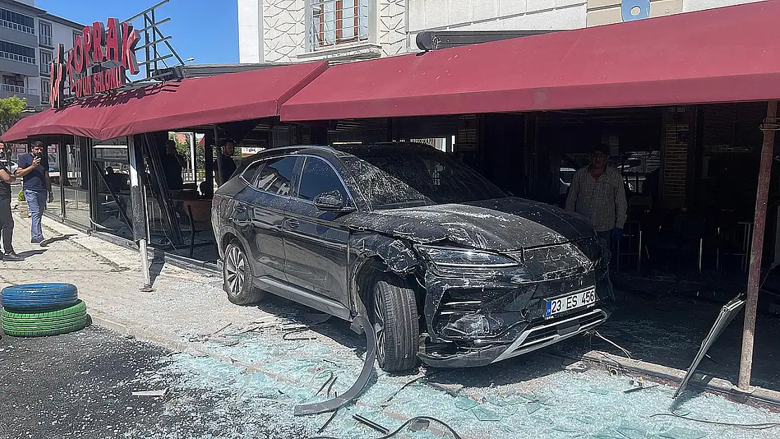 Elazığ'da feci kaza