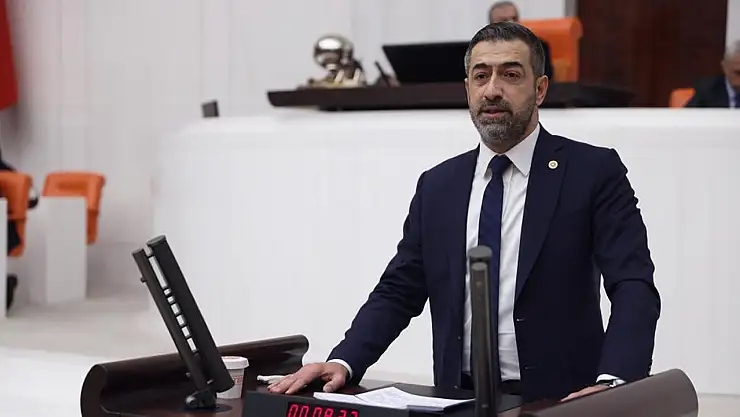 Milletin Tek Vekili
